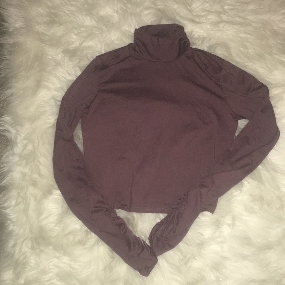 Turtle Neck Mauve Long Sleeve Crop Top